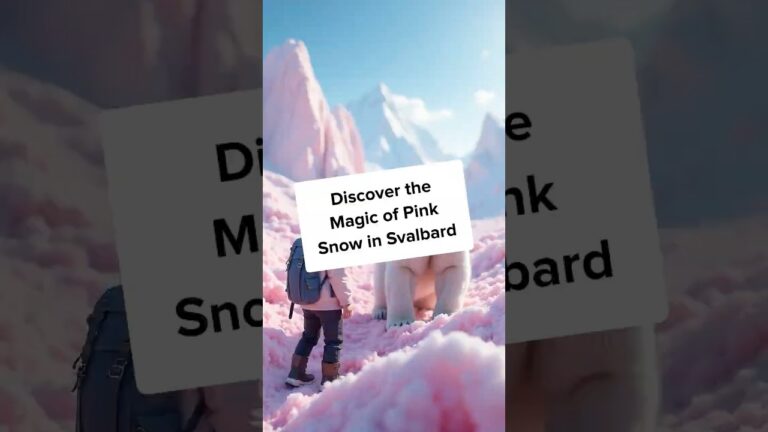 Experience the RAREST Pink Snow on Earth in Svalbard